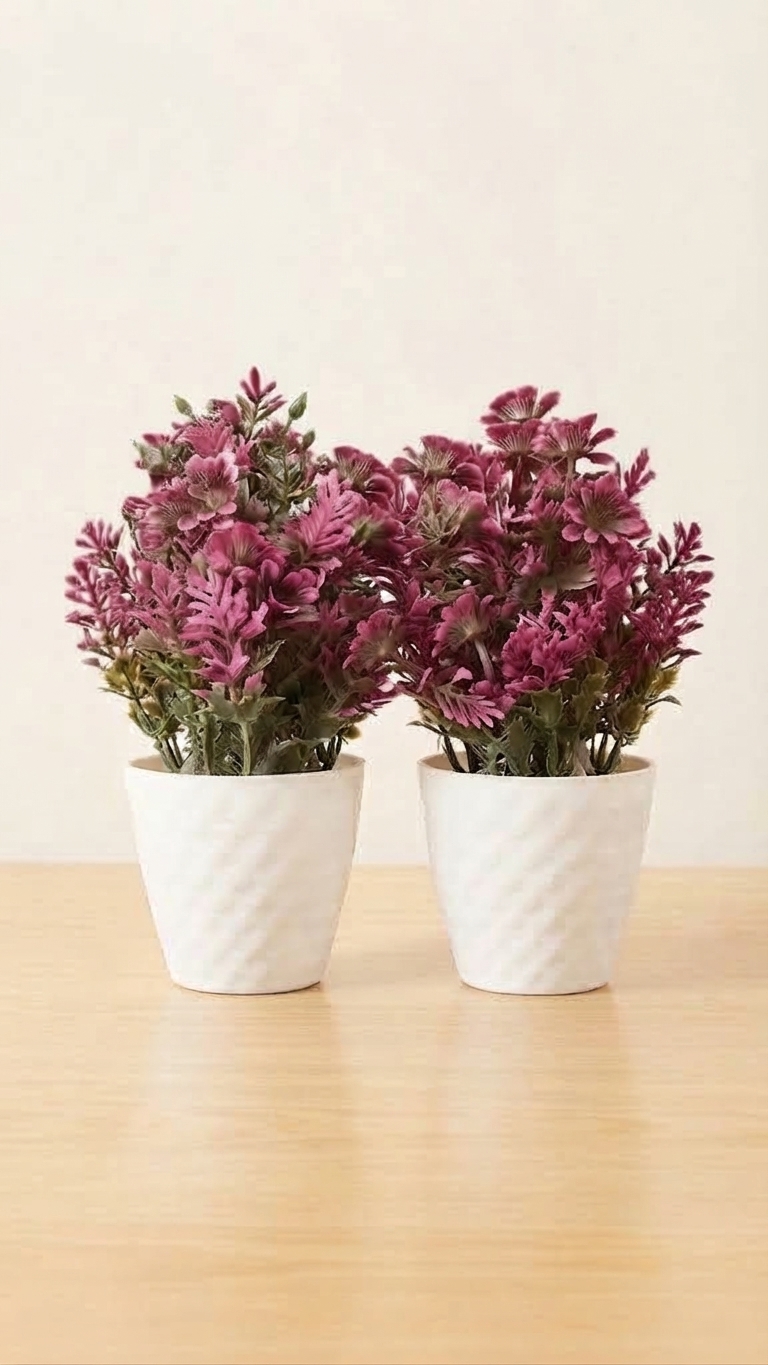 MIDIUM BONSAI